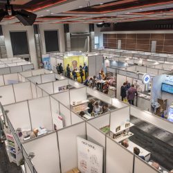 strefa expo - nosalowy dwór - zakopane